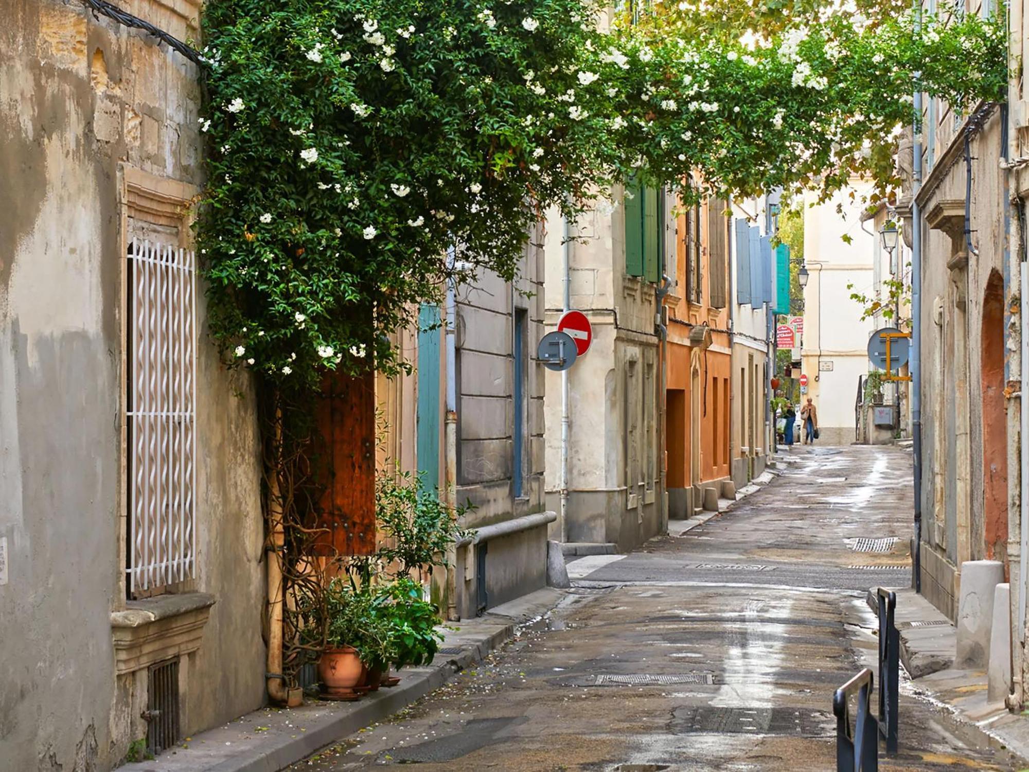 Hebergements Modernes & Cosy A Arles T3 Et T2 Elegants Eksteriør billede
